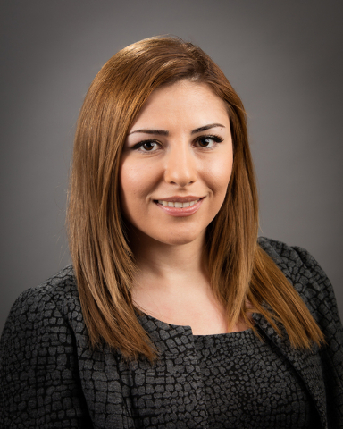 Mina Mohamadian
Financial