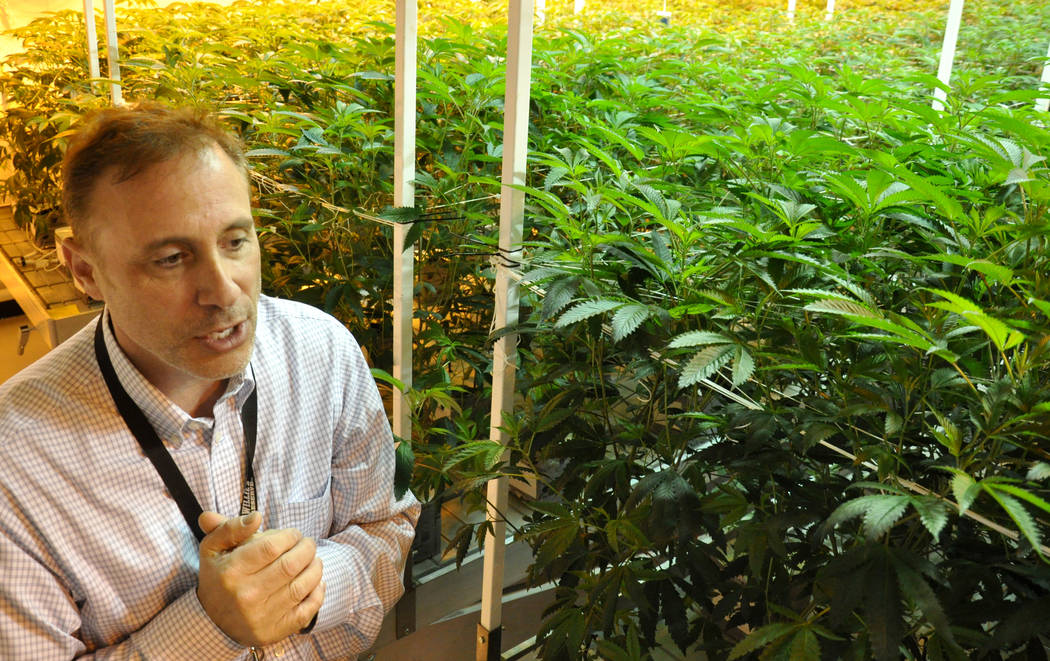 VIDEO: Green Manufacturing: Cannabis cultivation | Las Vegas Business Press