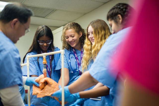 Students partaking in CampMED look at a healthy lung while learning how to diagnose different clinical symptoms. (Elizabeth Brumley Business of Medicine)