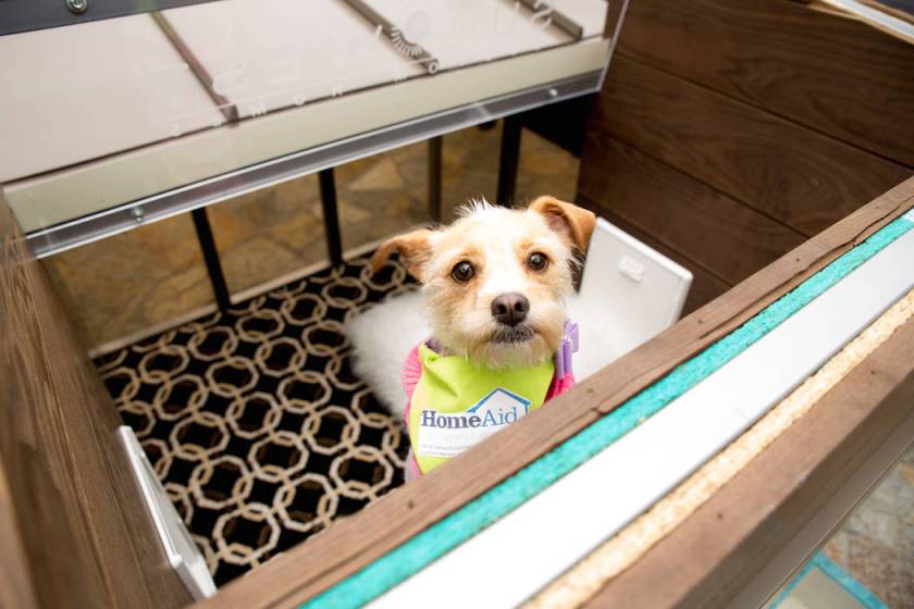 Local builders in the doghouse for a good cause Las Vegas Business Press