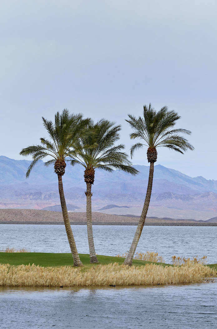 Reflection Bay at Lake Las Vegas in Henderson. (Bill Hughes Las Vegas Business Press)