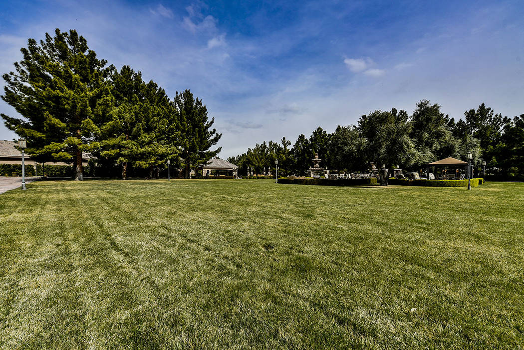 The 6.8-acre estate at 8101 Obannon Drive has plenty of grassy spaces. (Paragon Premier Properties)