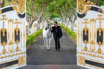 Wayne Newton is shown at the gated entrance of Casa de Shenandoah, which has been sold, along w ...