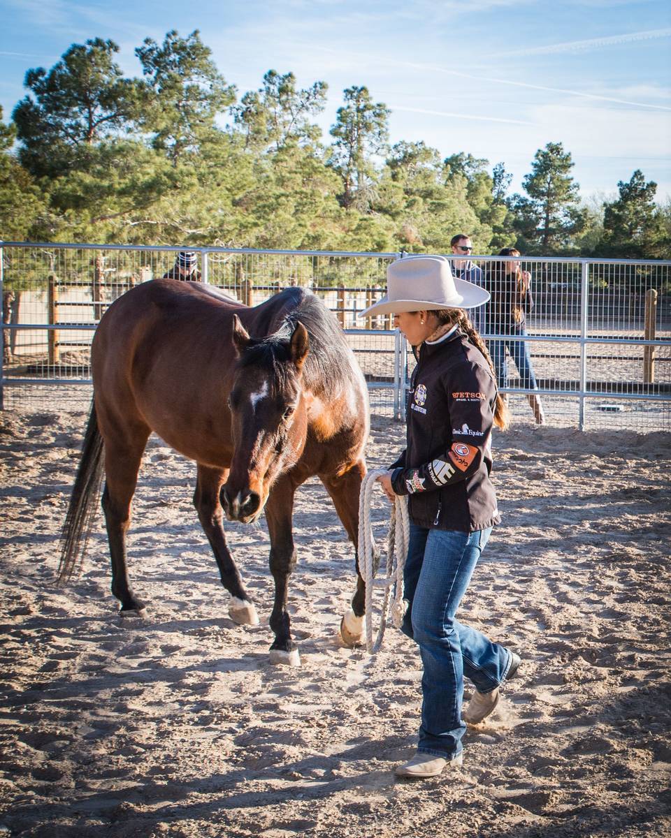 The Horsepower Mastermind program uses equestrian-related activities. (Tonya Harvey/Las Vegas B ...