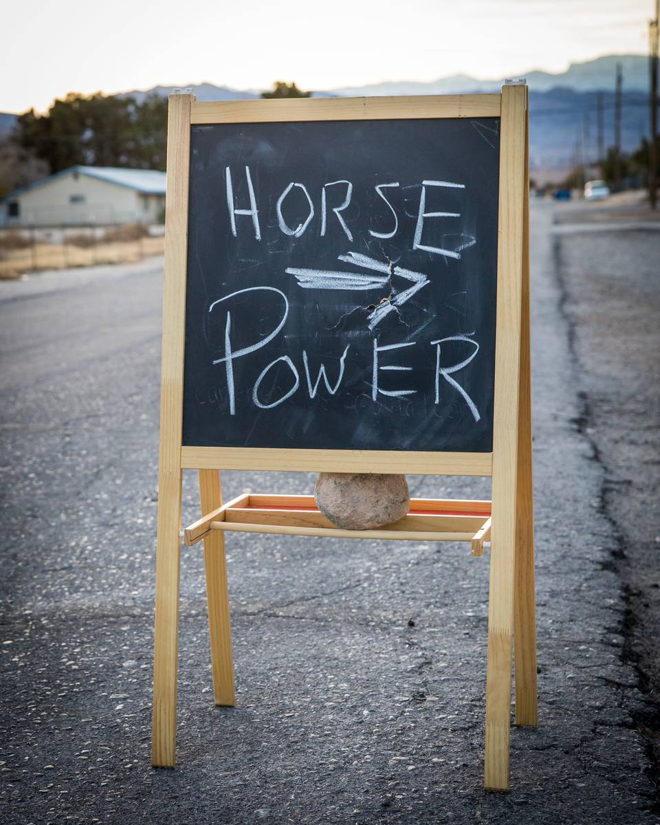 Horsepower Mastermind program is on hold until the fall. (Tonya Harvey/Las Vegas Business Press)
