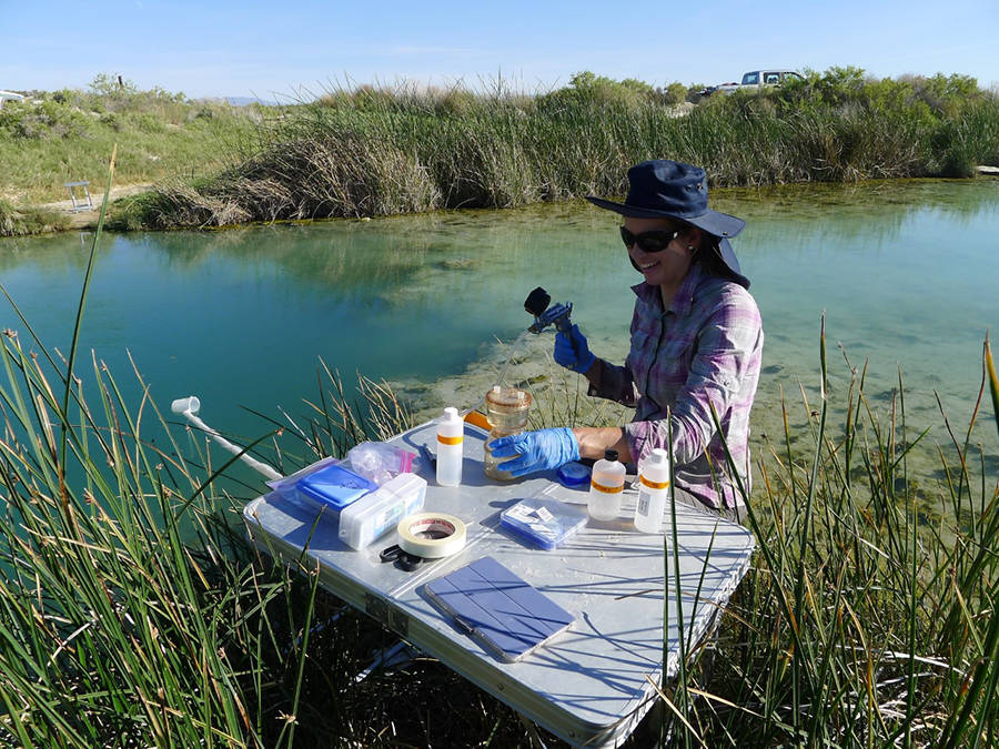 Director of the Great Basin Center for Geothermal Energy Director Bridget Ayling samples water ...