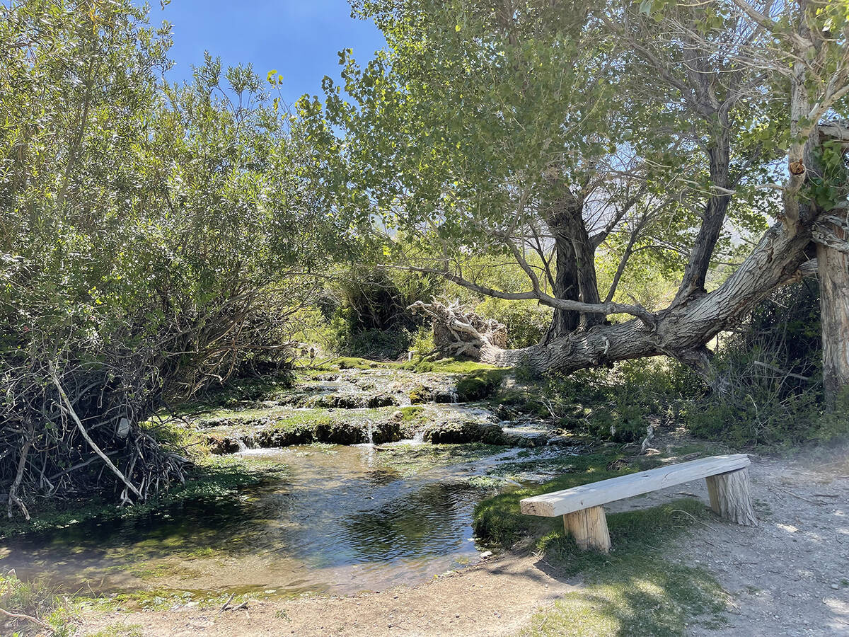 The 1.36-acre property in the Cold Creek subdivision in the Toiyabe National Forest has a creek ...