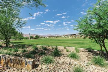 Stonebridge Park. (Summerlin)