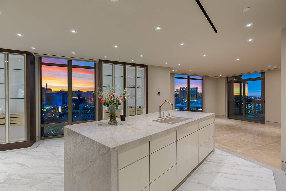Cristine Rosa Lefkowitz, The No. 3 high-rise condo sale of the year was a penthouse at Park To ...
