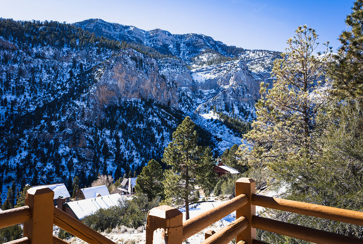 Forest views. (Mt. Charleston Realty)