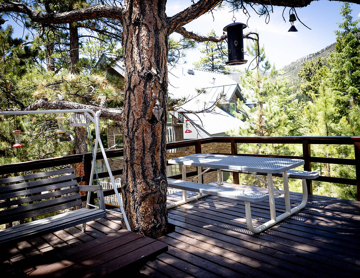 The deck shows off the pine backdrop of the home. (Tonya Harvey/Real Estate Millions)