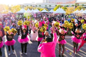 Anticipating more than 15,000 participants, the American Cancer Society’s annual Making Strid ...