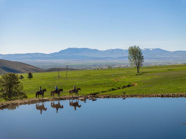 The immense acreage boasts 6 acres of ponds and wetlands fed by 4,112 acre-feet of deeded water ...