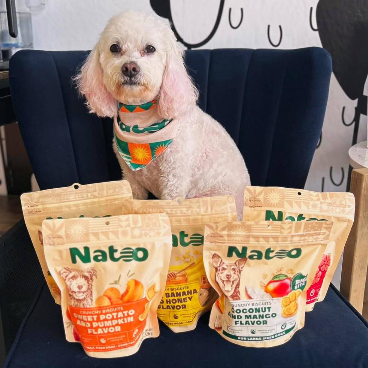 Natoo showcases its dog food made with natural, traceable and ethically sourced ingredients. (N ...