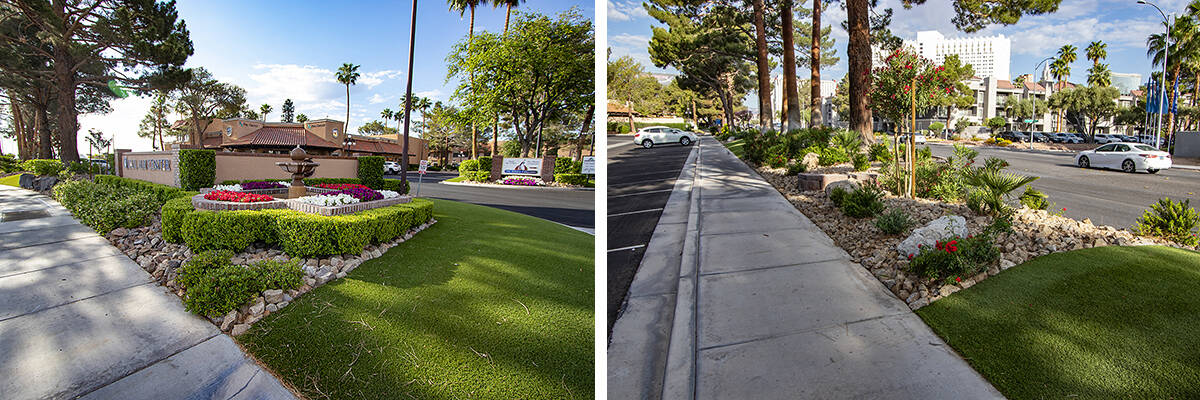 Over the past two decades, the Quail Air Center has replaced more than 32,000 square feet of gr ...