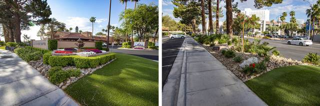 Over the past two decades, the Quail Air Center has replaced more than 32,000 square feet of gr ...
