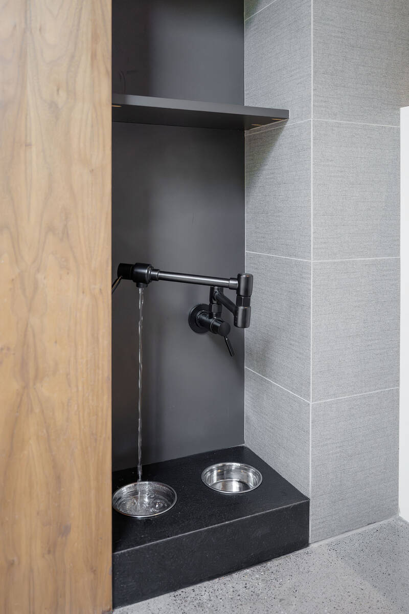 Integrating pet-friendly amenities into luxury residences has become increasingly popular, refl ...